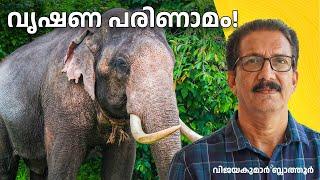 ആനകളുടെ വൃഷണം എവിടെ? The mystery of elephant testes. #ആനക്കാര്യം #elephant #animals  #malayalam