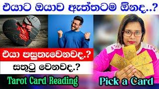 එයාට ඔයාව ඇත්තටම ඕනද..?|Does He Really Want You? Discover the Truth with Tarot Cards