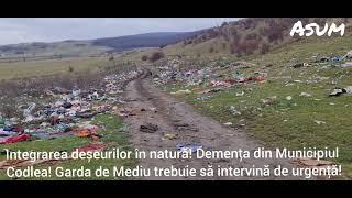 Municipiul Codlea,integrarea deșeurilor în natură!