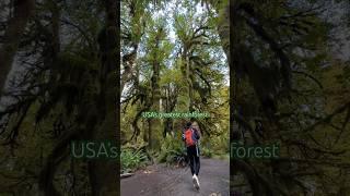 Hoh Rainforest  Most Beautiful Places to Visit in the World  Olympic National Park, Washington