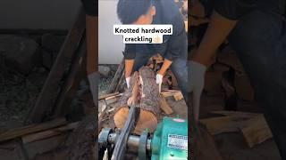 #This is the real life in the countryside#Pixwood#woodcutting #woodsplitter #woodburning #ytshort