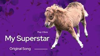 Tune! Adorable Shetland Foal is Superstar! ️