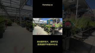 加拿大建材超市盘点温哥华装修建房哪里买材料#加拿大生活#建房温哥华装修Vlog#温哥华自建房#The Home Depot #Lowe's# Rona#shorts