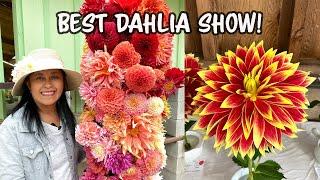 Dahlia Show with Monterey Bay Dahlia Society/ Pt. 1