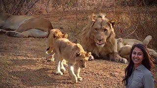 The Kwa Maritane Cubs