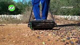 Olive harvester - εργάτες της ελιάς - ramasseuse d'olives - zeytin toplama - قاطفي الزيتون