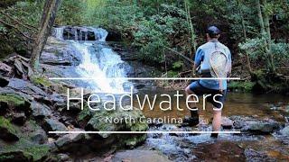 Fly Fishing BEAUTIFUL Headwaters of the Nantahala National Forest