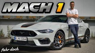 Den würde ich mir kaufen! Ford Mustang Mach 1 2021 REVIEW | Fahr doch