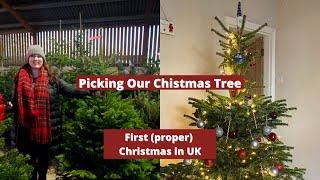 Buying and Decorating our Christmas Tree | Christmas Tree Farm, Ornaments I love | Christmas 2021