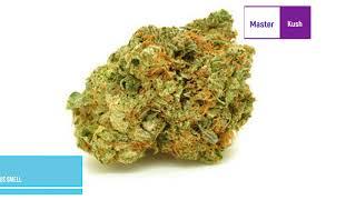 CANDELIVERY- Master Kush (ONE OF THE WORLD STRONG KUSH)