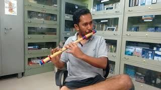 Jara jara mehakta hai / RHTDM / flute cover by satyajit kulkarni