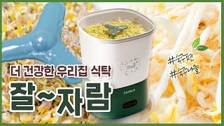 #숙주재배기 #녹두재배기 #콩나물재배기 우리집 건강한 식탁 만들기! 자이글 잘자람 재배기