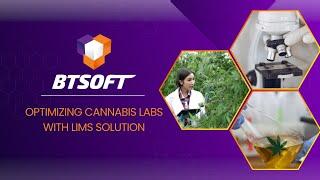 Optimize Lab Efficiency with BTSOFT’s Cannabis LIMS