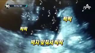 하늘에서 독수리와 충돌사고 난 드론_채널A_뉴스TOP10