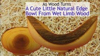 A Cute Little Natural Edge Bowl From Wet Limb Wood