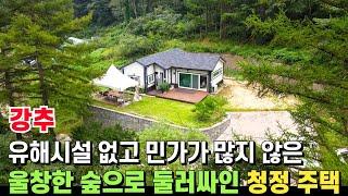 (강추) 울창한 숲으로 둘러싸인 청정 주택! 주변에 유해시설 없고 민가가 많지 않아 조용한 전원생활이 가능한 아담한 전원주택! - 힐링하우스TV (강원도 춘천시)