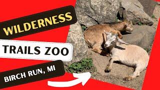 Come To The Wilderness Trails Zoo For A Fun Afternoon In Birch Run, Michigan.