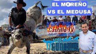 EL MOREÑO DE AMILCINGO VS TORO EL MEDUSA RANCHO LOS SUNAMIS EN MINNESOTA 2024