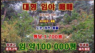 물번,757번) 임야99.600평 평당,1.700원에 매매합니다, 탄소배출권제도 이용하기 좋고 산지연금형 임야, 공시지가,2억원 매매가,1억7.000만원 입니다,3필지 경사25기준