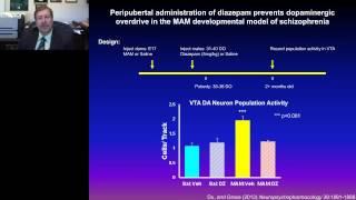 Anthony Grace - Keynote - Dopamine system dysregulation in the pathophysiology of schizophrenia and