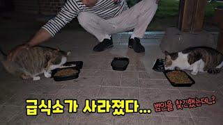 사라진 급식소..범인을 찾긴했는데..( ft.우린길에 나앉았다..)