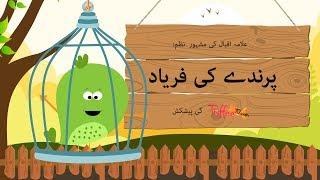 Toffee TV | Parinday Ki Faryaad | A Poem By Allama Iqbal | Kids Urdu Poem