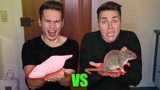 GUMMI ESSEN vs ECHTES ESSEN !!! | Schinken Brothers