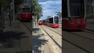 Vienna tram 1 Schottenring station #tram #viennatram  #vienna #austria #viennacity #viennatoday