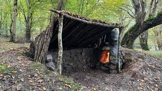 Survival & Building Bushcraft Survival Shelter With Only Axe, Edible Mushrooms, Fireplace with Mud