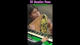 El condor pasa(철새는 날아가고)남미 페루의 민요 #shorts