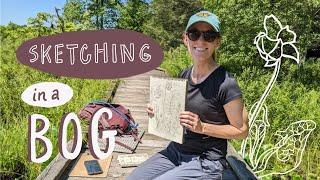 Getting to know the Central Appalachians of Pennsylvania | Nature & art vlog  