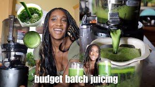 2024 Budget Batch Juicing Guide! | Kuvings AUTO10