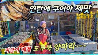 난전시장에서 직접구어먹는 '알이꽉찬 도루묵 양미리' 지금 아니면 1년을 기다려야 합니다.