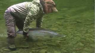 Gaspe Atlantic Salmon Fly fishing/Peche saumon Atlantique