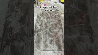 Satisfying Rug Cleaning in 30 Seconds! #cleantok #quickcleaning #satisfyingvideo #shorts #dirtyrugs