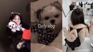 vlog. 겨울이 왔나봐요 | 마라탕 | 먼지랑 고깃집 ! | 코튼 캔디볼