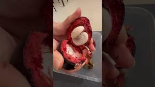 How to open Mangosteen #how #howto #shorts #mangosteen