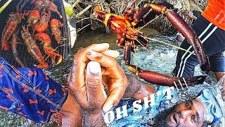 (GOT A BL00DY FINGER FROM HUGE RIVER LOBSTER) Catch Clean Cook @D_JOHNSON'S_BAR_AND_GRILL EP.37