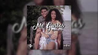 Maicol Baza - Me Gustas (Audio Oficial)