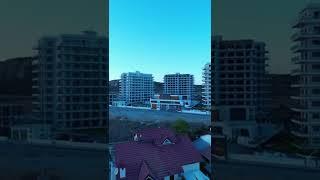 Caesar blue