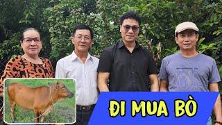 Tuấn Vỹ đã lên tới Song Hinh. Đang đi mua Bò. Quý vị thấy em Bò này được không ?