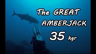 The Great Amberjack 35 kgr. (Manolis Giankos)