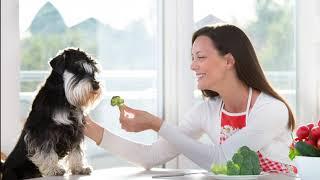 About the Pet Industry...