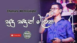 Sudu Sadun Malaka Suwanda Dige | Chamara Weerasinghe Songs | Sinhala Songs