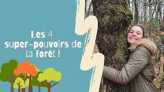 Les 4 super-pouvoirs de la forêt - Brain de Savoir #9