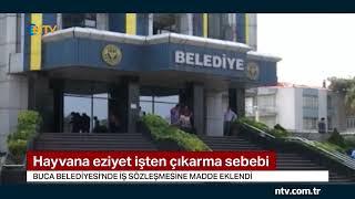 Hayvana eziyet işten çıkarma sebebi oldu (Buca Belediyesi'nden örnek karar)