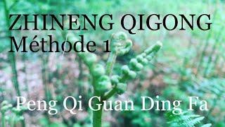 ZHINENG QIGONG Methode 1 - Peng Qi Guan Ding Fa (en entier dans la forêt)