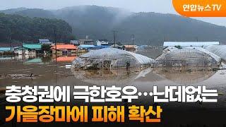 충청권에 극한호우…난데없는 가을장마에 피해 확산 / 연합뉴스TV (YonhapnewsTV)