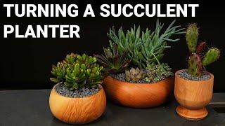 Turning a Succulent Planter