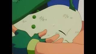 Ash’s Chikorita + More Bayleef moments with Ash (read description)